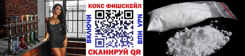 COCAIN Fish Scale  Купить закладки  Галич 